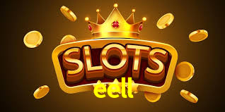 Programa VIP eell